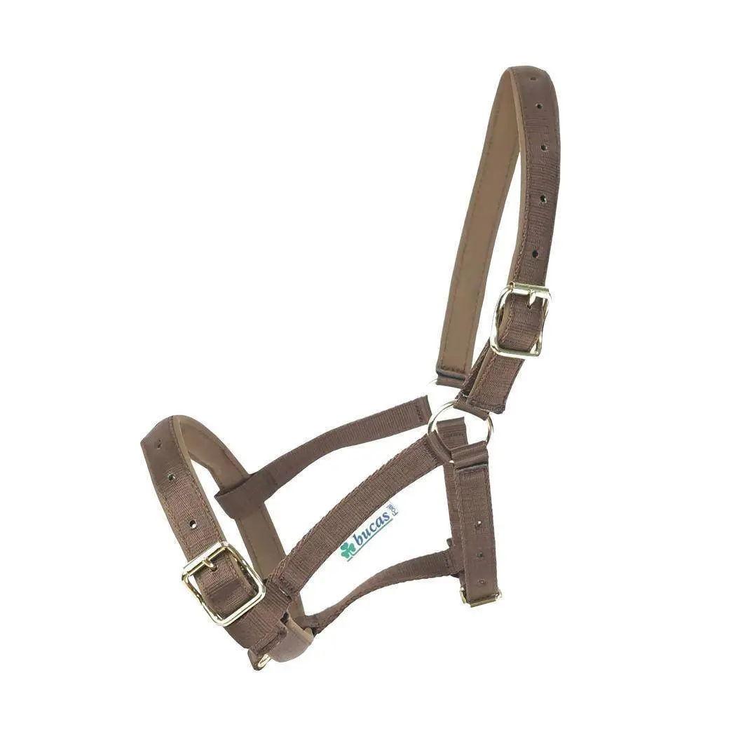Halter for horse Bucas Dublin