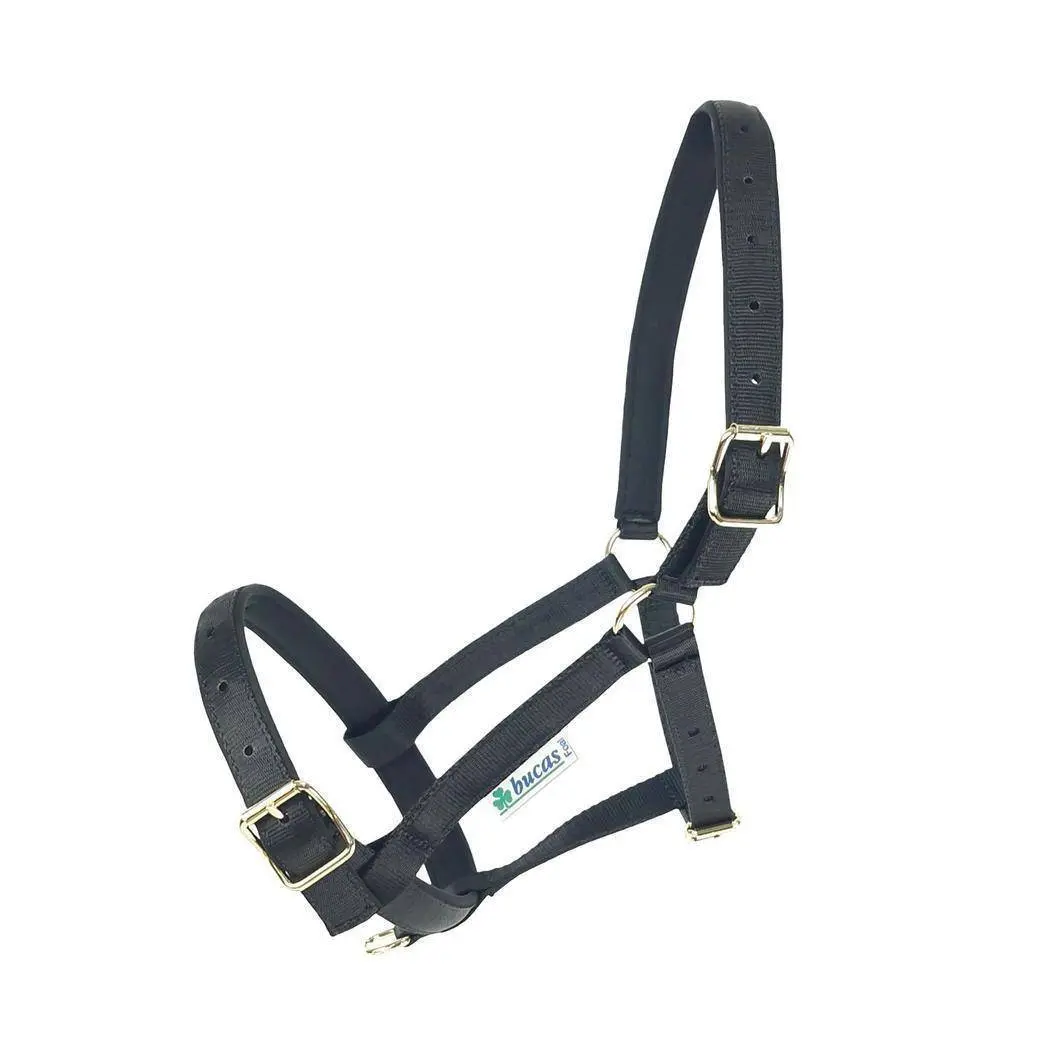 Halter for horse Bucas Dublin