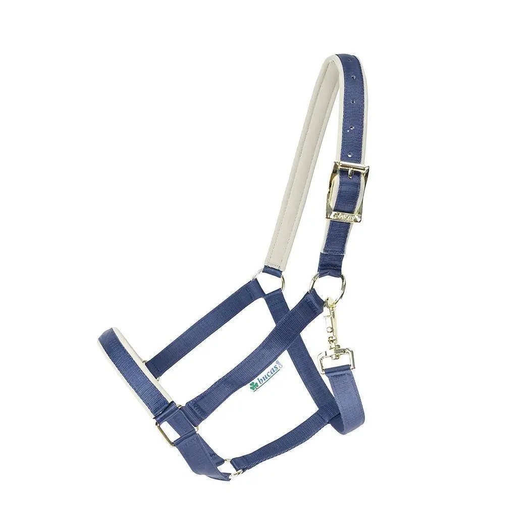 Halter for horse Bucas Dublin