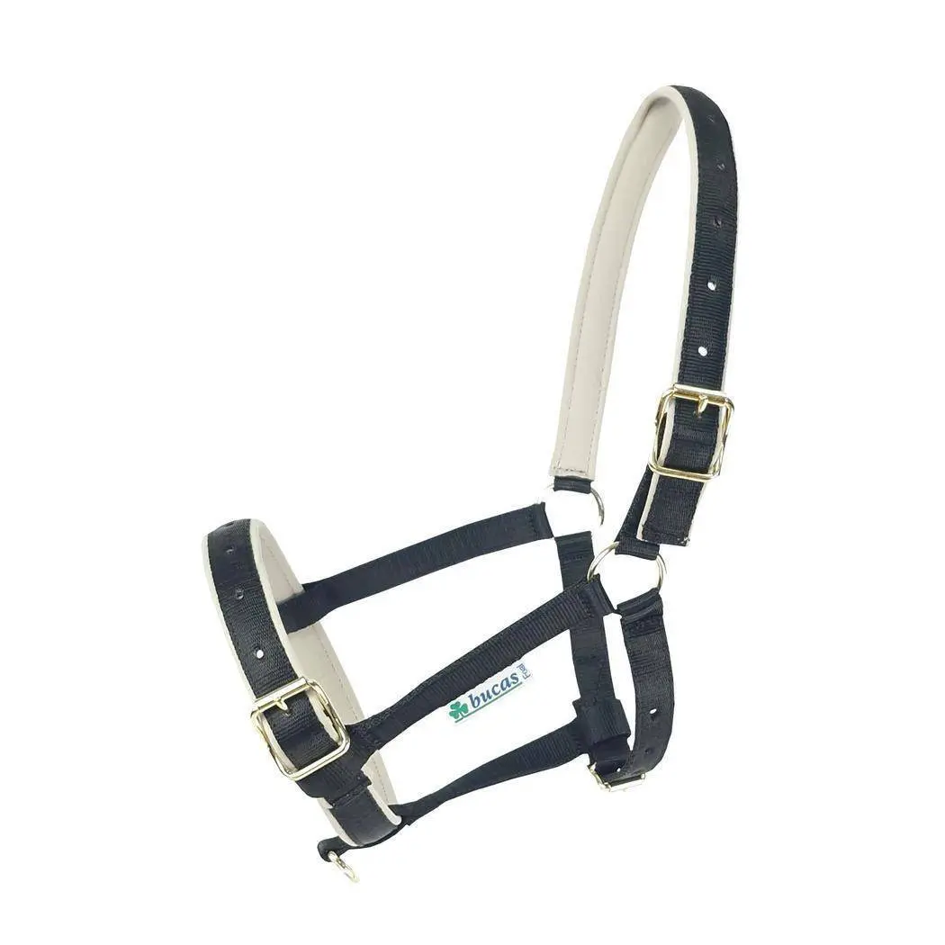 Halter for horse Bucas Dublin