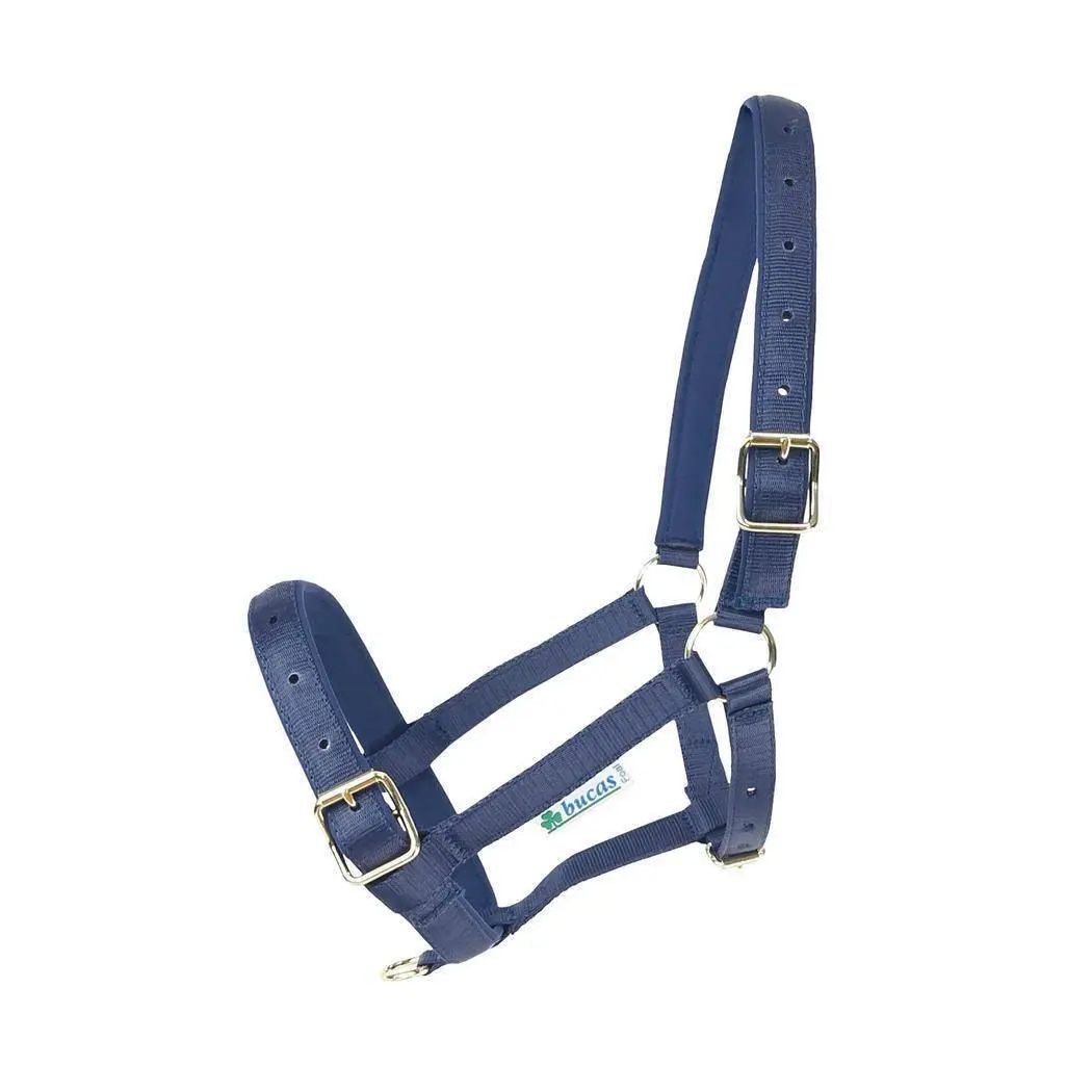 Halter for horse Bucas Dublin
