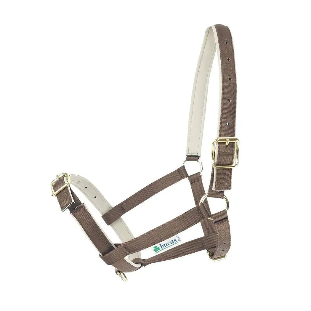 Halter for horse Bucas Dublin