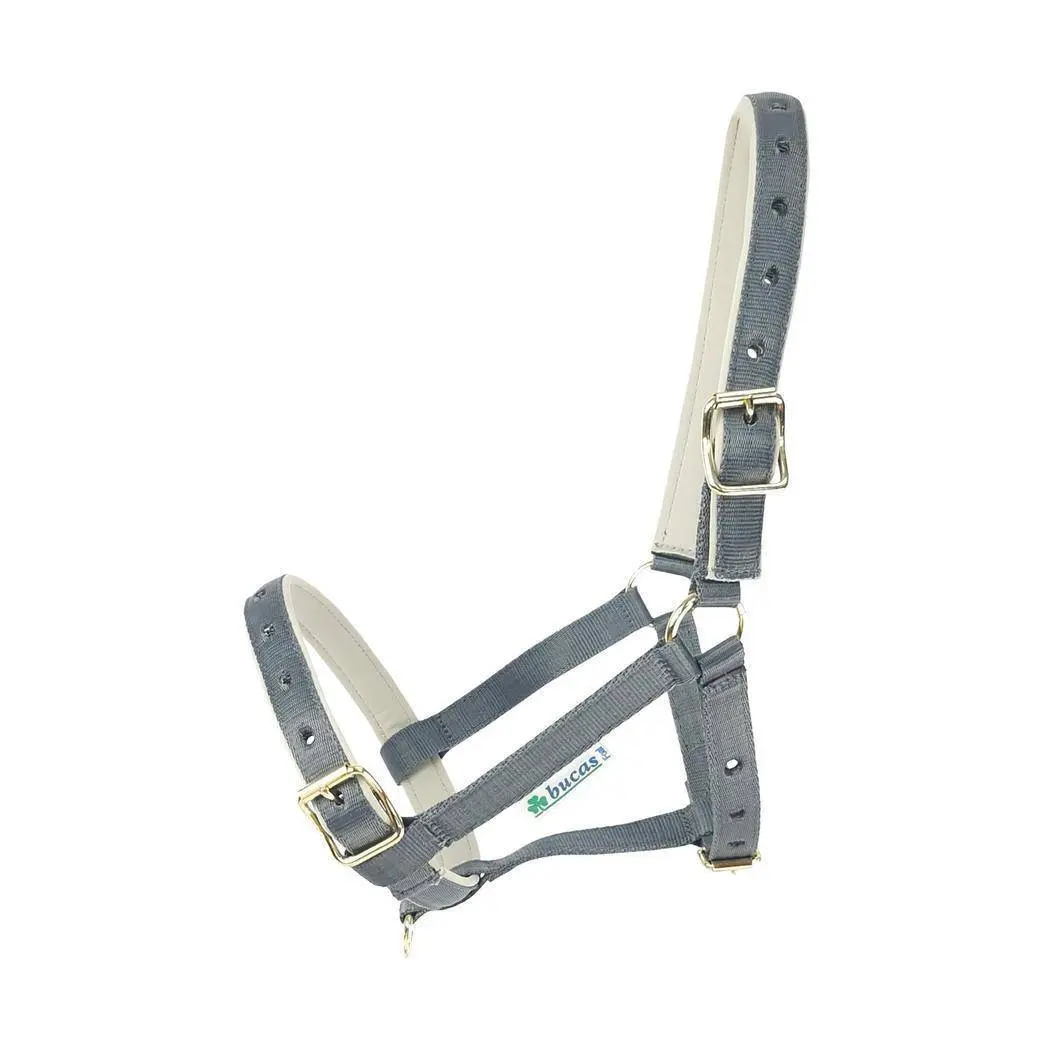 Halter for horse Bucas Dublin