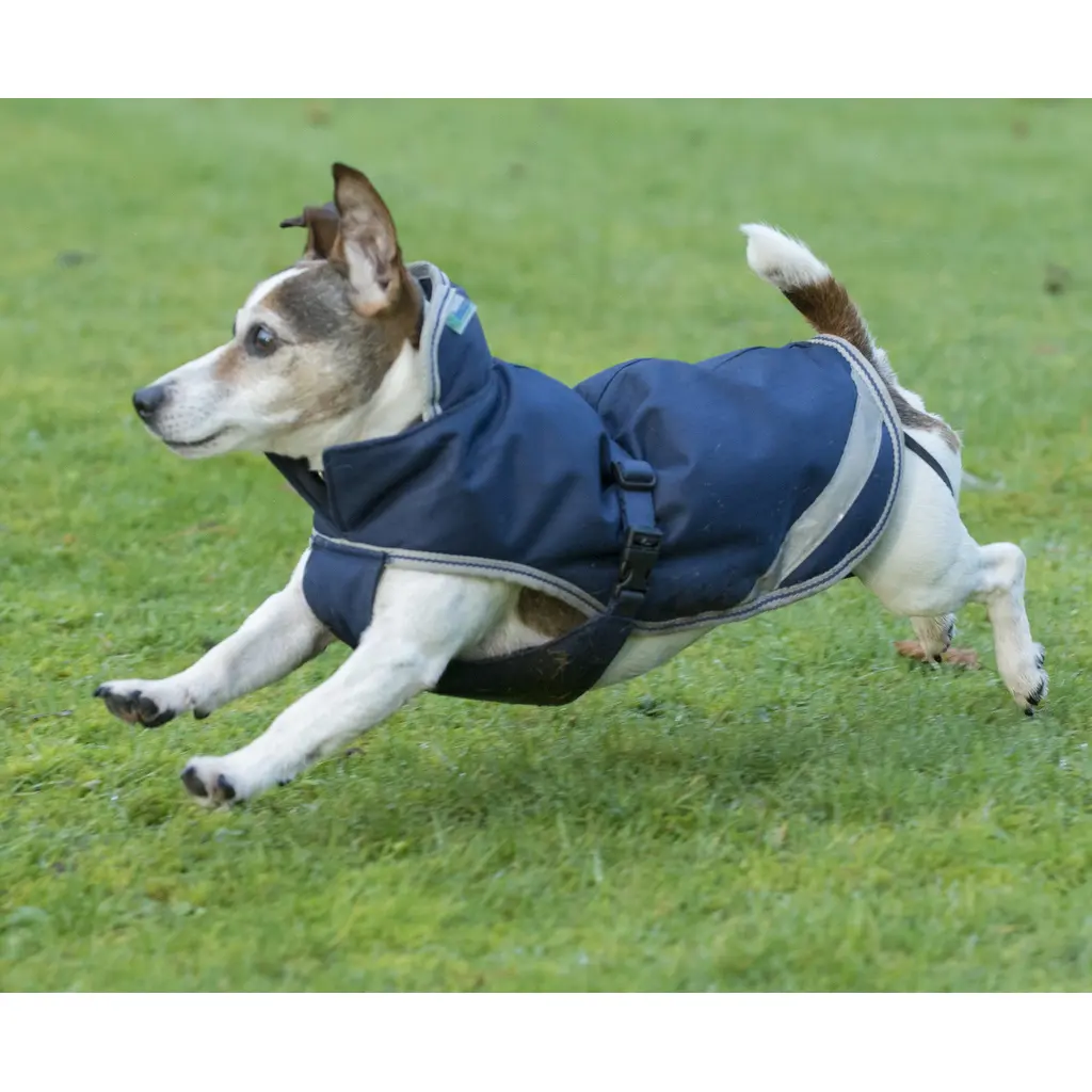 Cappottino per cani Bucas Freedom