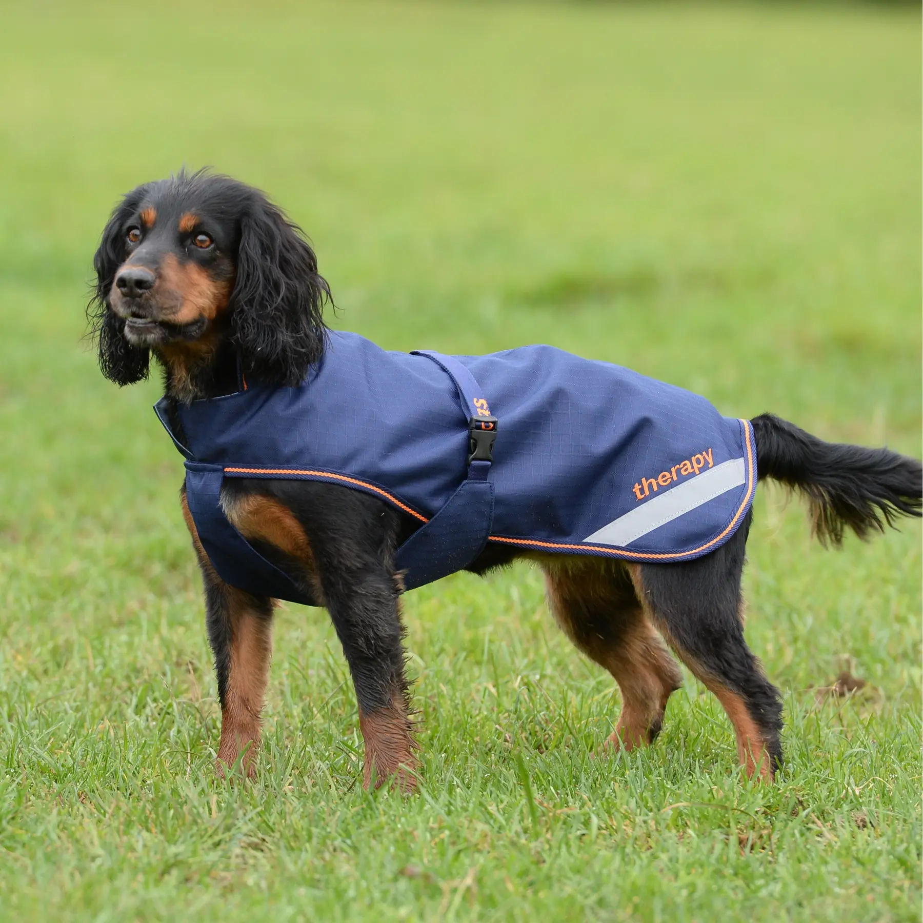 Hundedecke Bucas Therapy 150g - Farbe: Blau