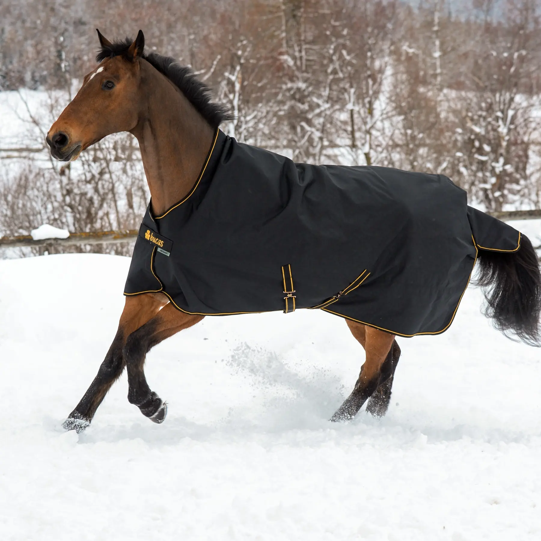 Coperta da paddock per cavalli Bucas Irish 100g