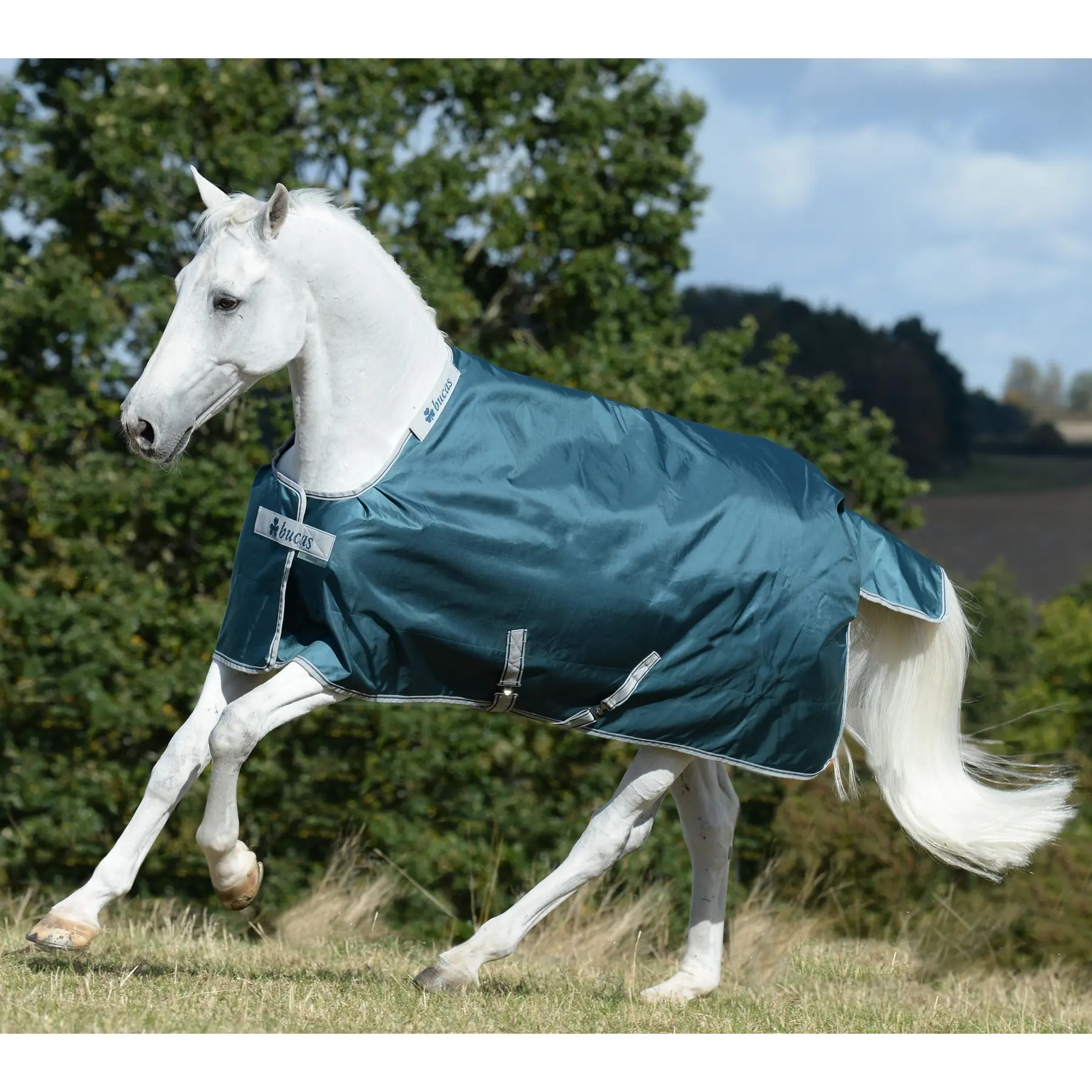 Coperta impermeabile per cavalli Bucas Atlantic Turnout 200g