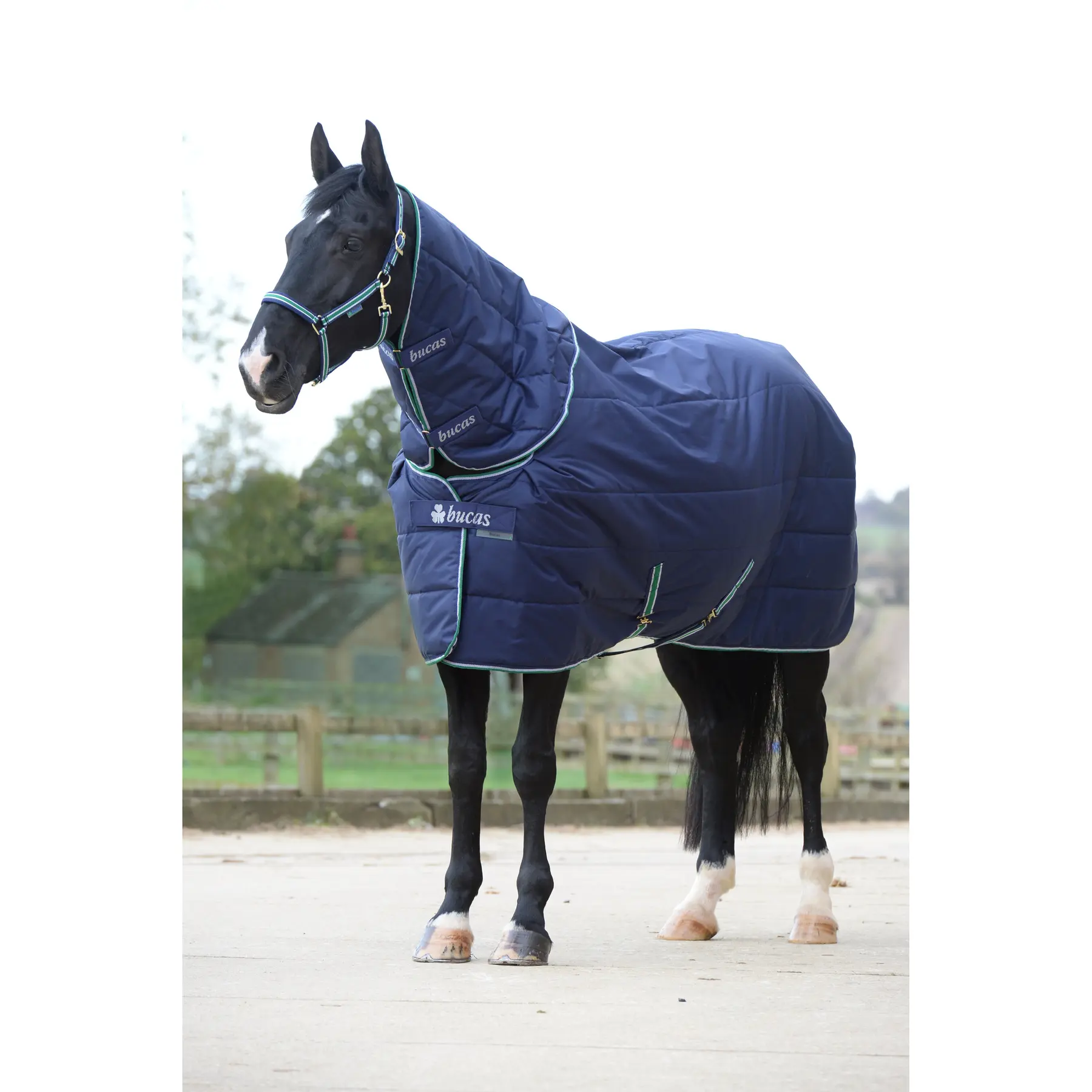 Coperta per cavalli Bucas 0g