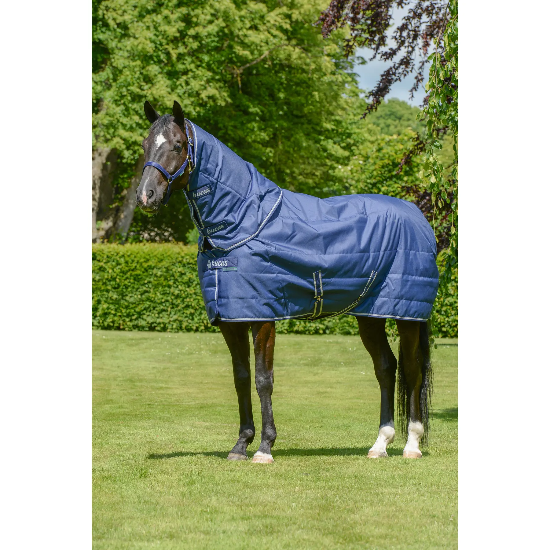 Copertura per cavallo SF Bucas Quilt 150g