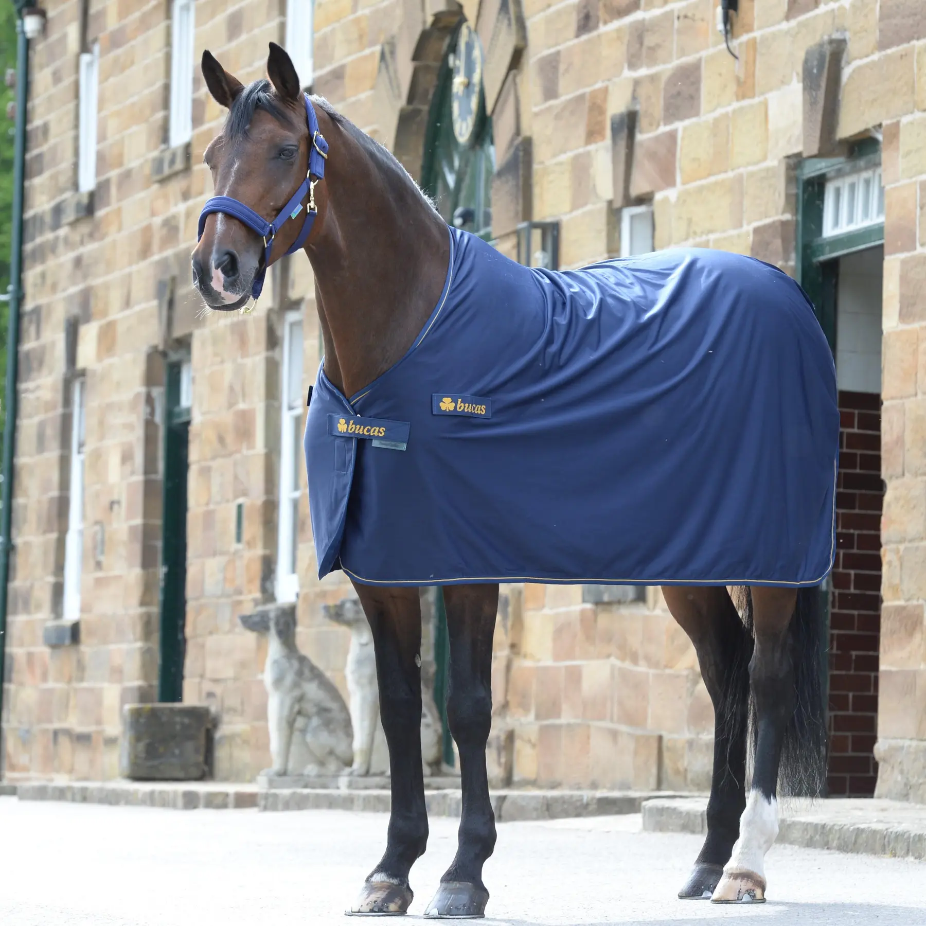 Outdoor  Blanket Bucas Panel Prize Cooler 145g