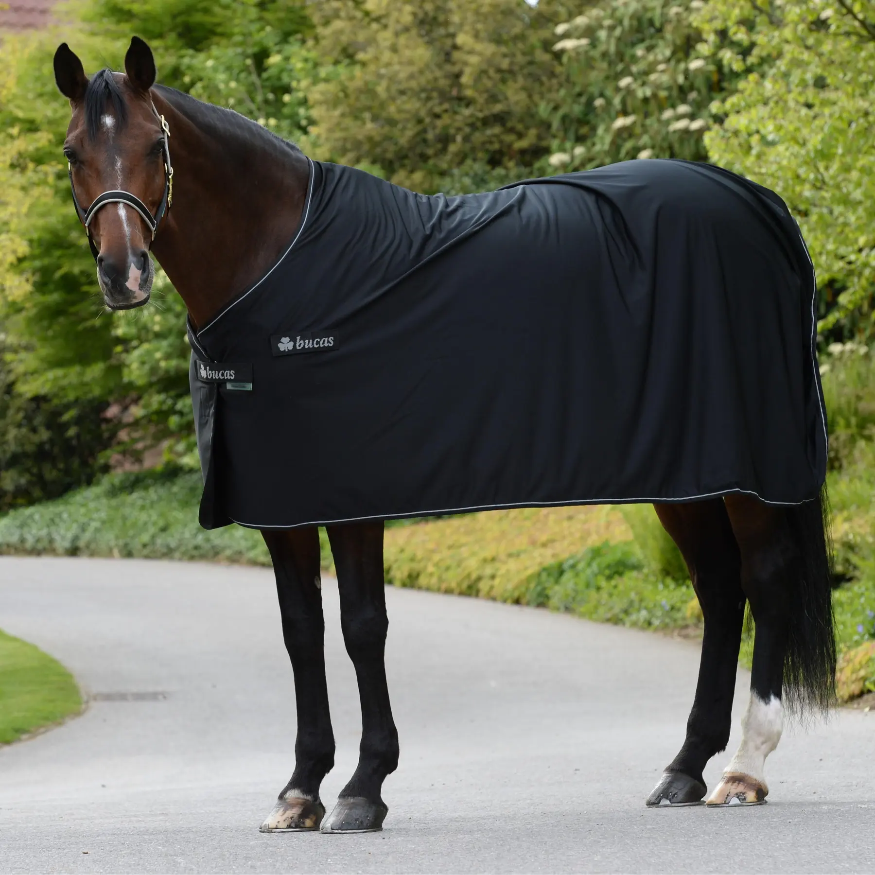Outdoor  Blanket Bucas Panel Prize Cooler 165g