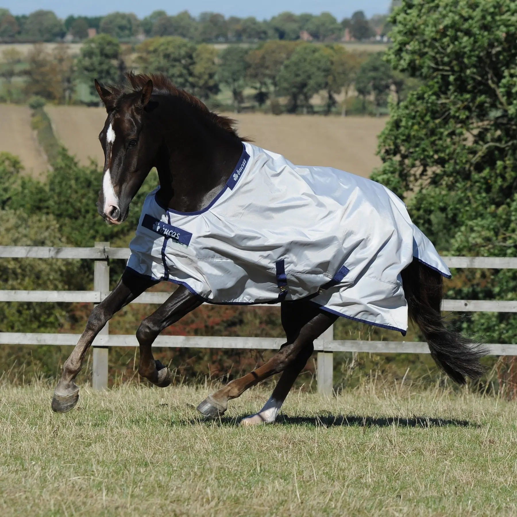 Bucas Grey Outdoor Blanket Sun Shower