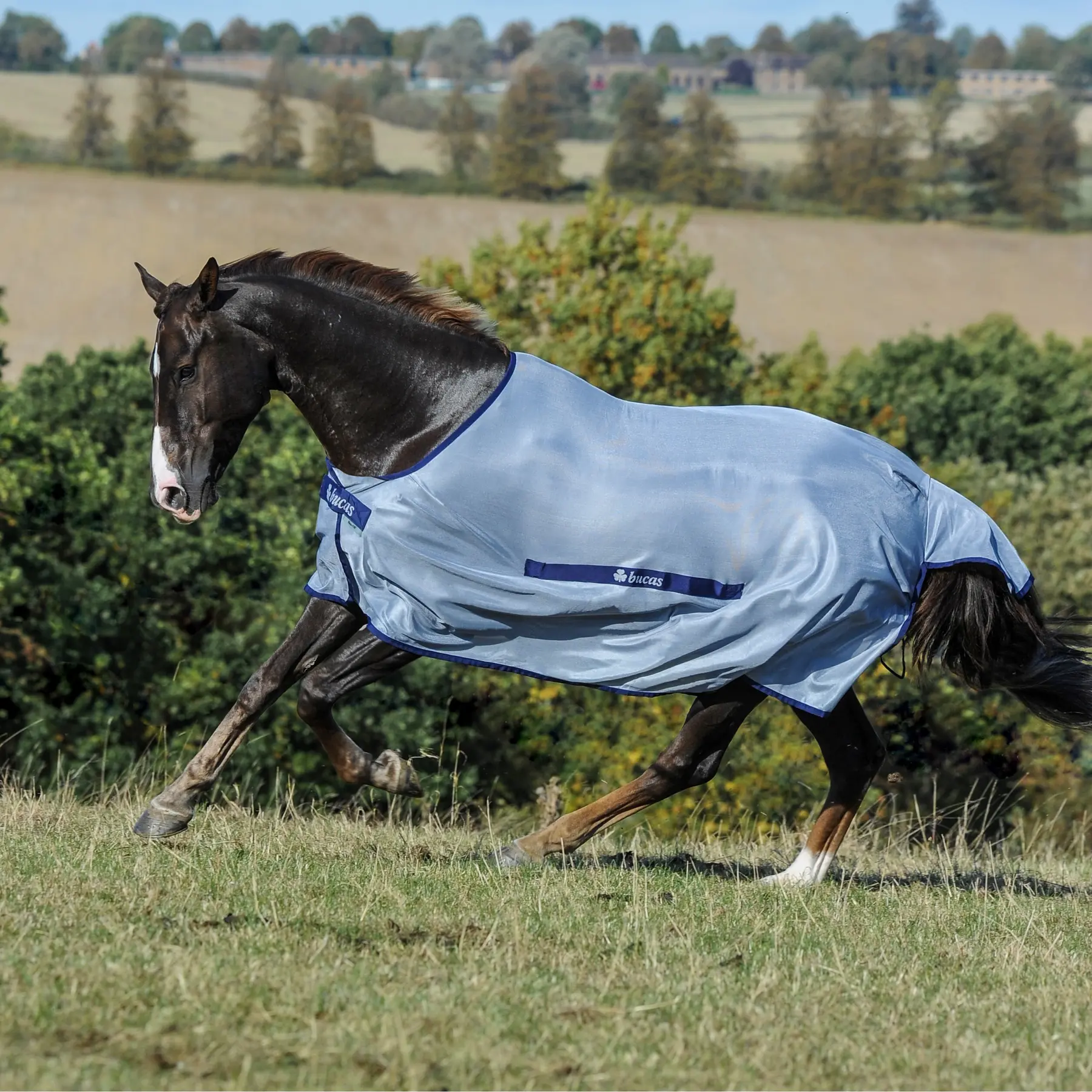 Belly band for horse blanket Bucas Buzz-Off Classic