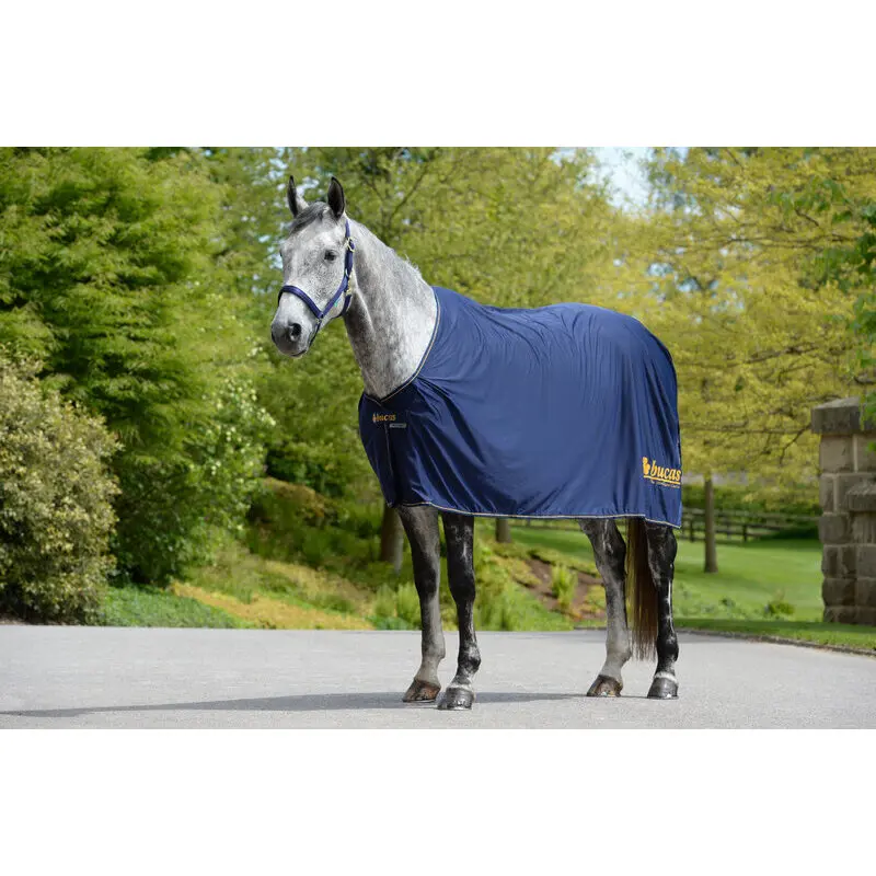 Outdoor  Blanket Bucas Prize Cooler