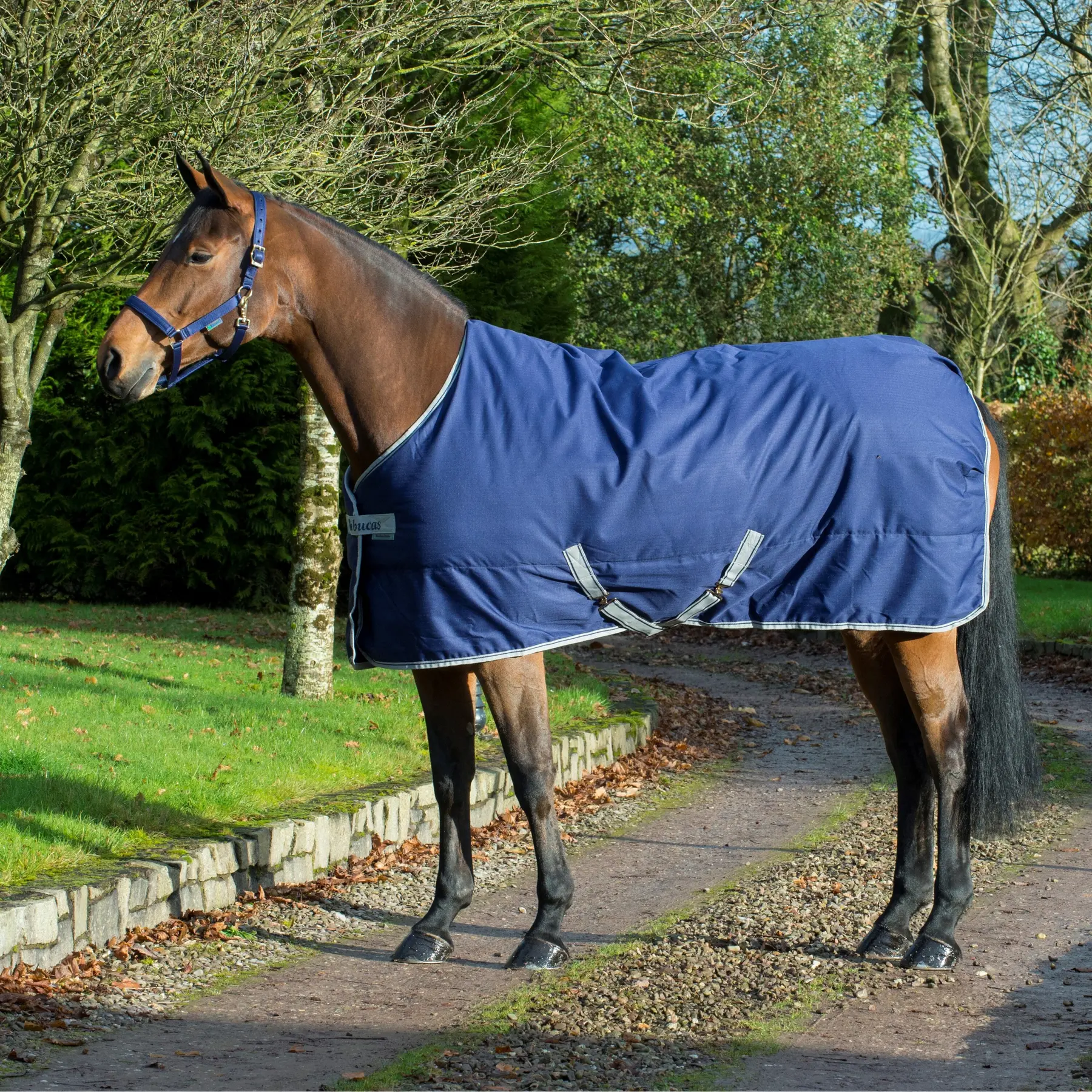 Stable Blanket Bucas Freedom 150g