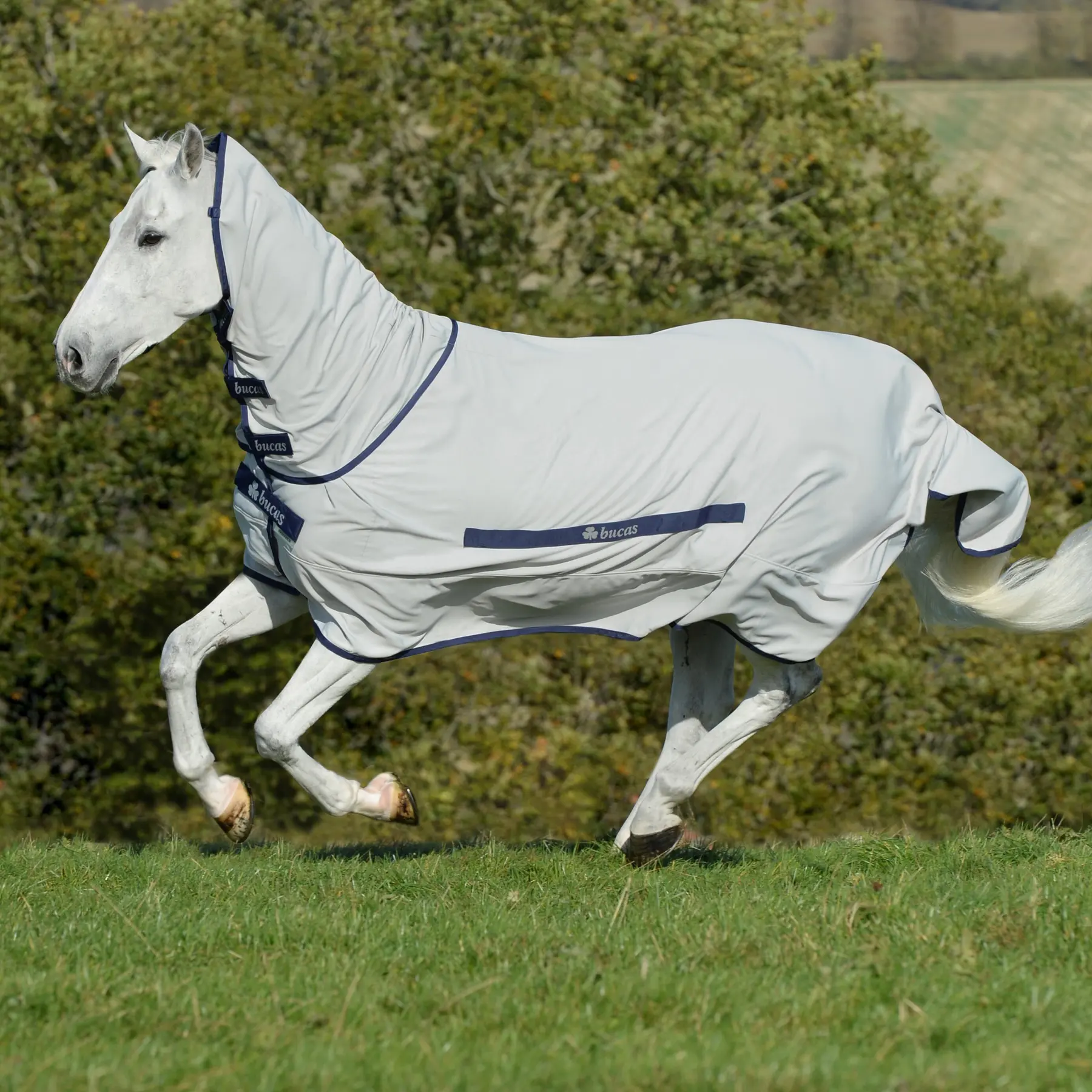 Coperta da paddock per cavalli Bucas Sweet-itch