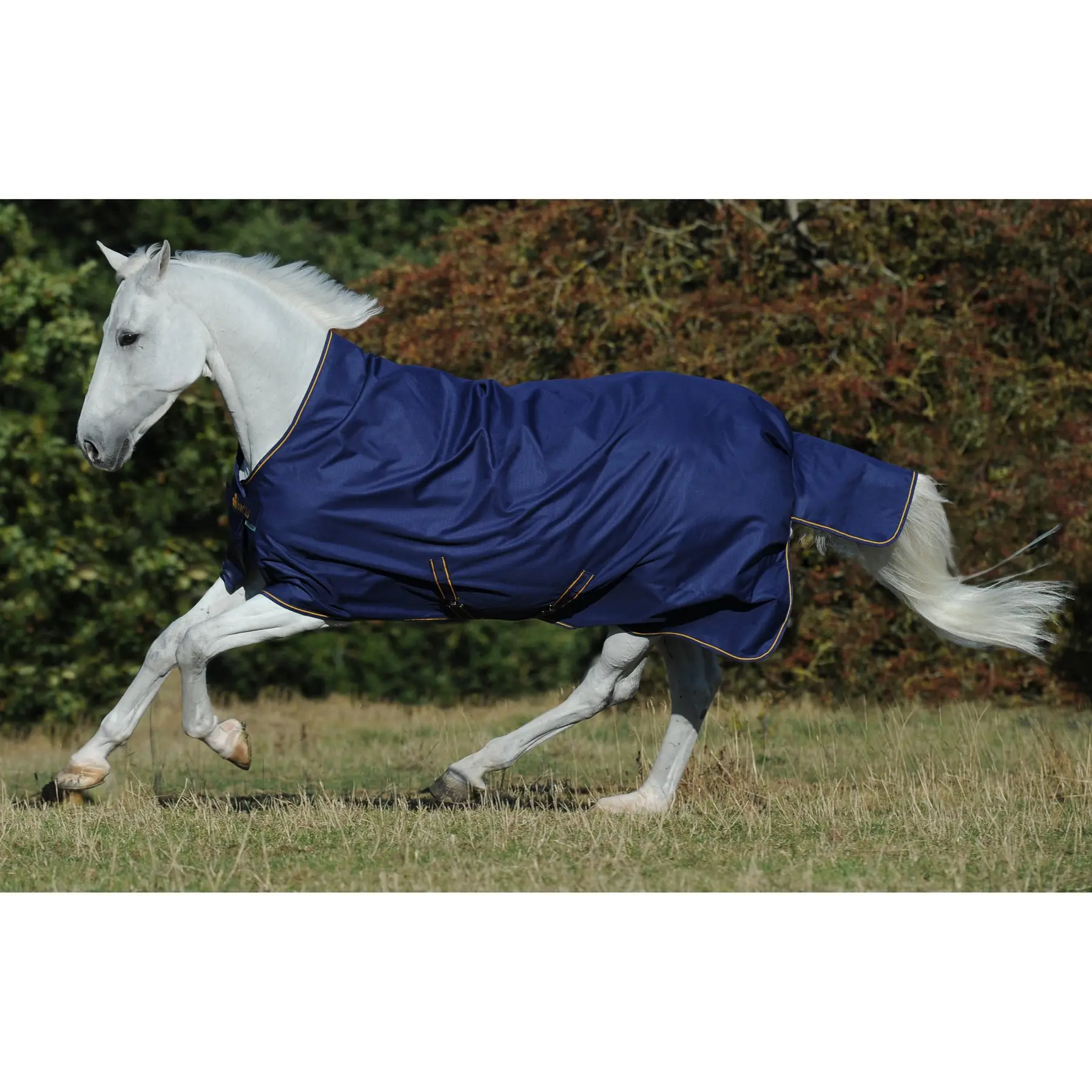 Coperta da paddock per cavalli Bucas Irish 50g