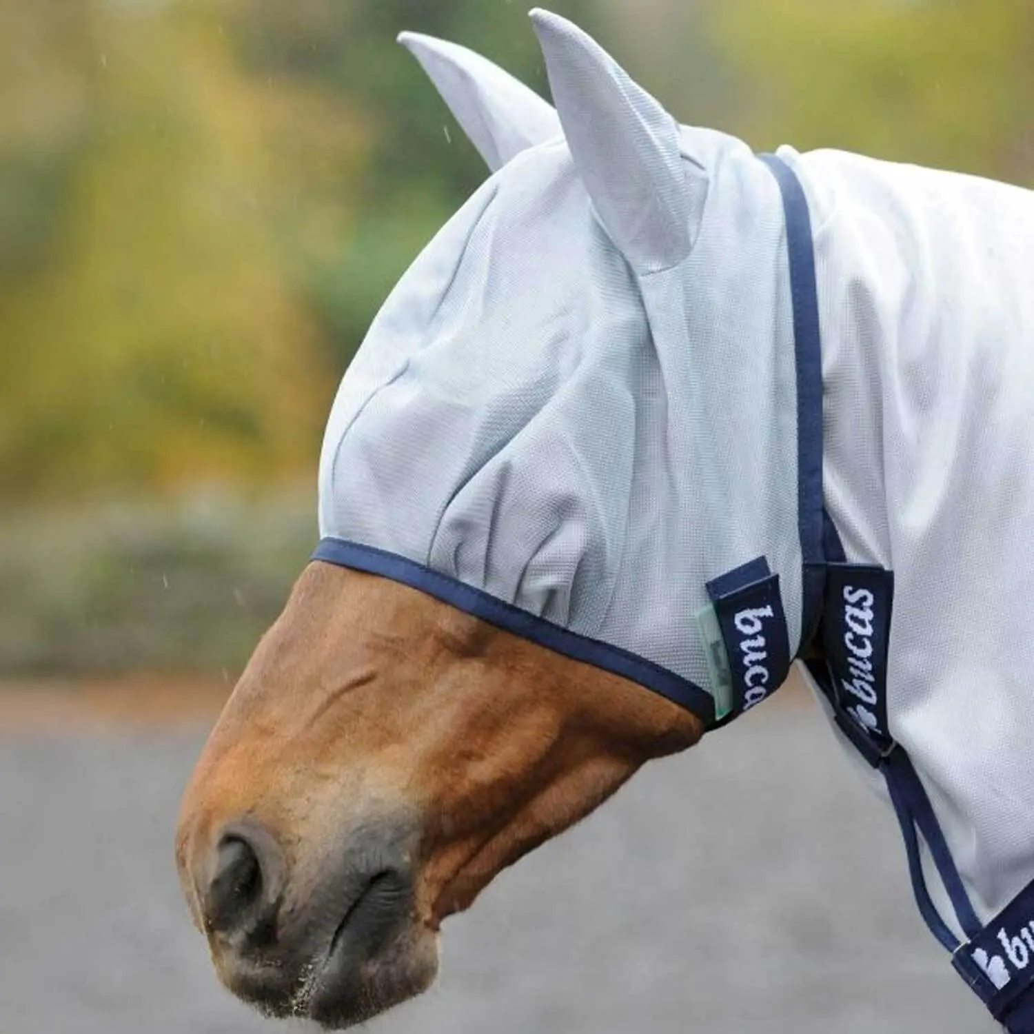 Fly mask Bucas Buzz-Off