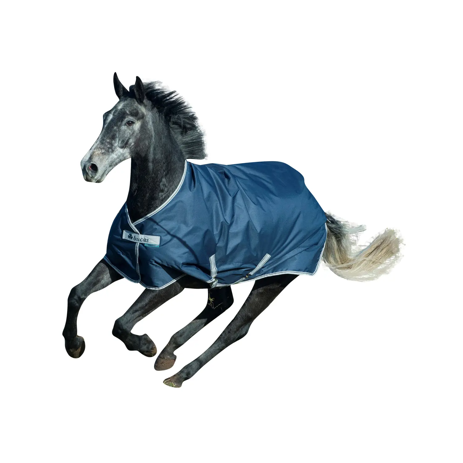 Coperta da paddock per cavalli Bucas 150g