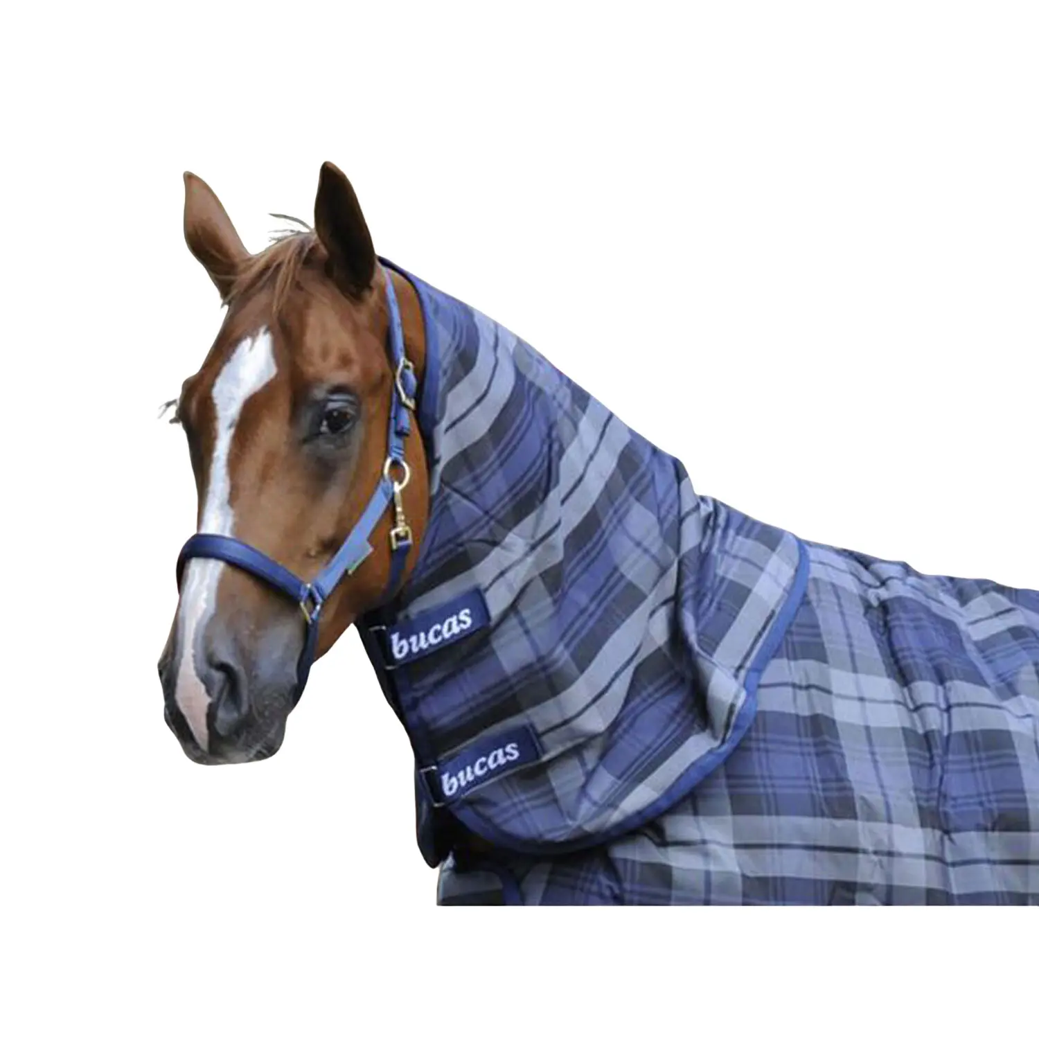 Neck Rug Bucas Collo X Celtic Stay-Dry