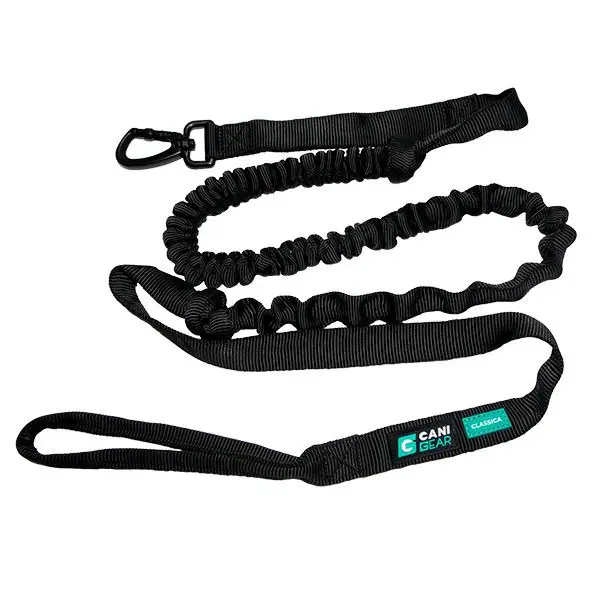 Guinzaglio per cane Cani Gear Intensia
