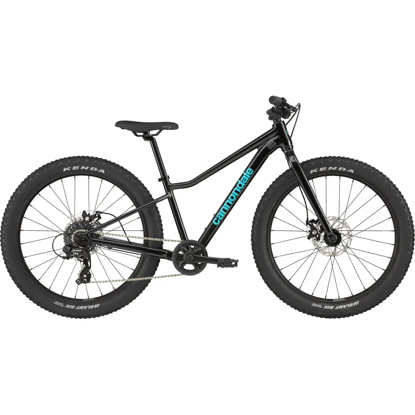 Fahrrad Kind Cannondale Trail Plus 24