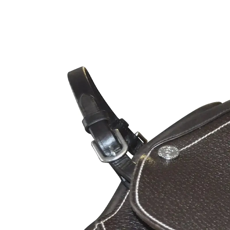 Horse Riding Saddle handle Canter
