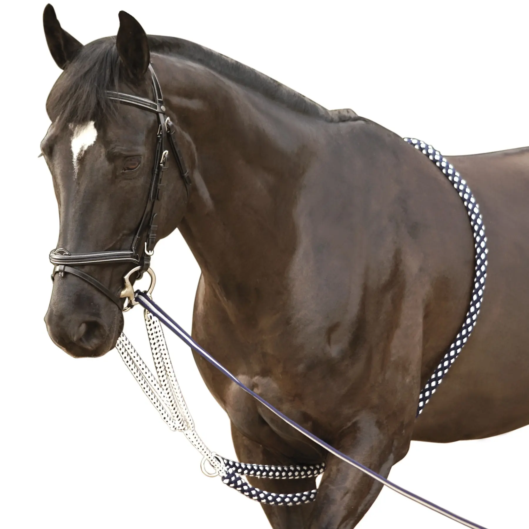 Horse longe reining Canter Soft Rope