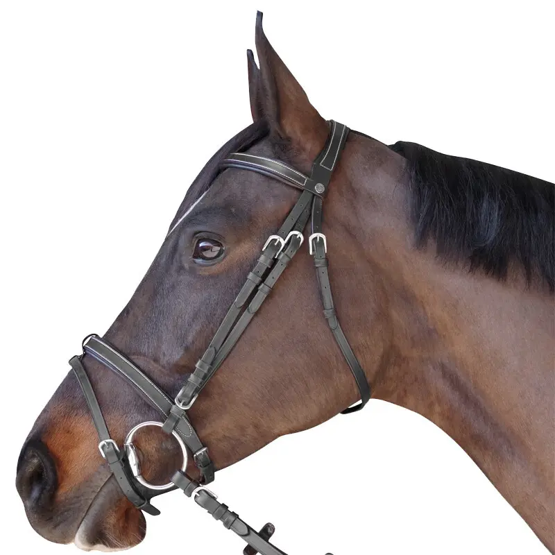 Bridle flat lined Canter