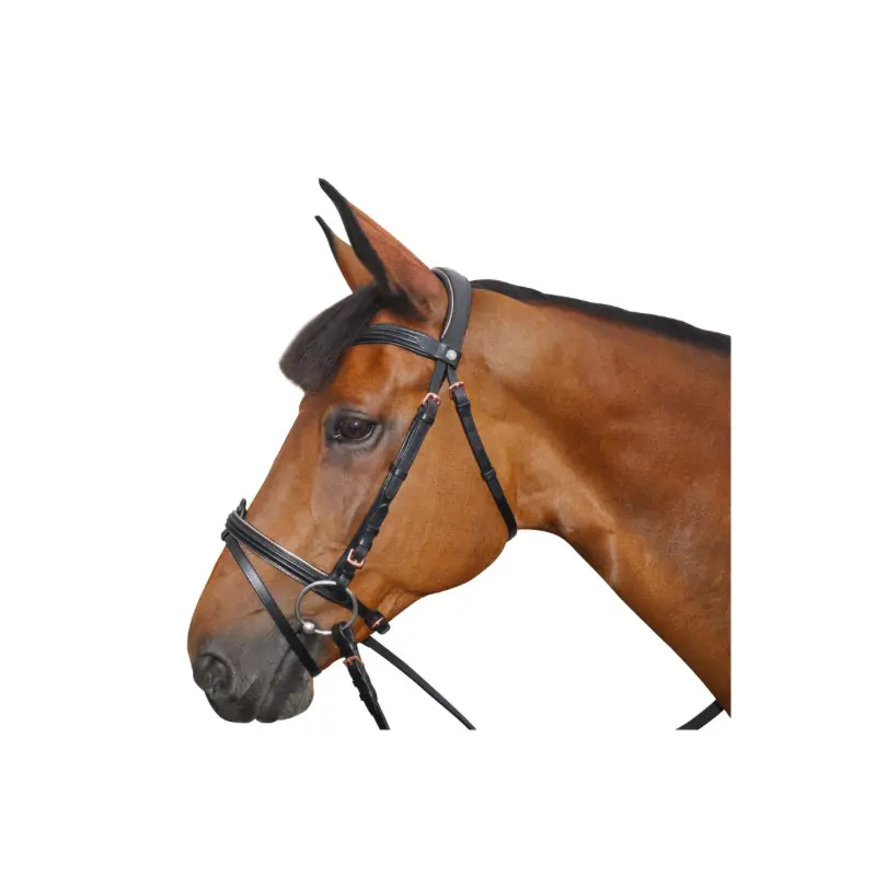 Riding bridles Canter Rose gold