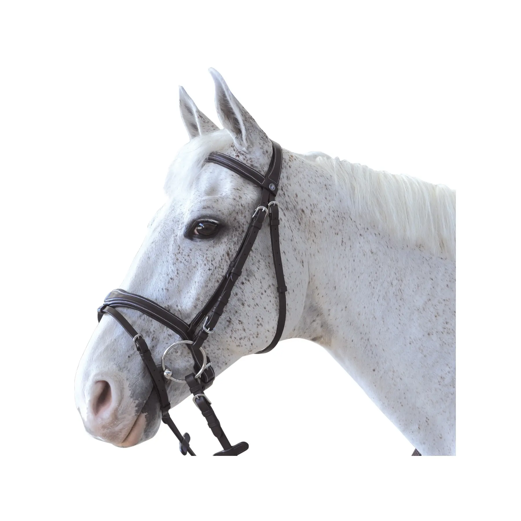 Riding bridles Canter Ornella
