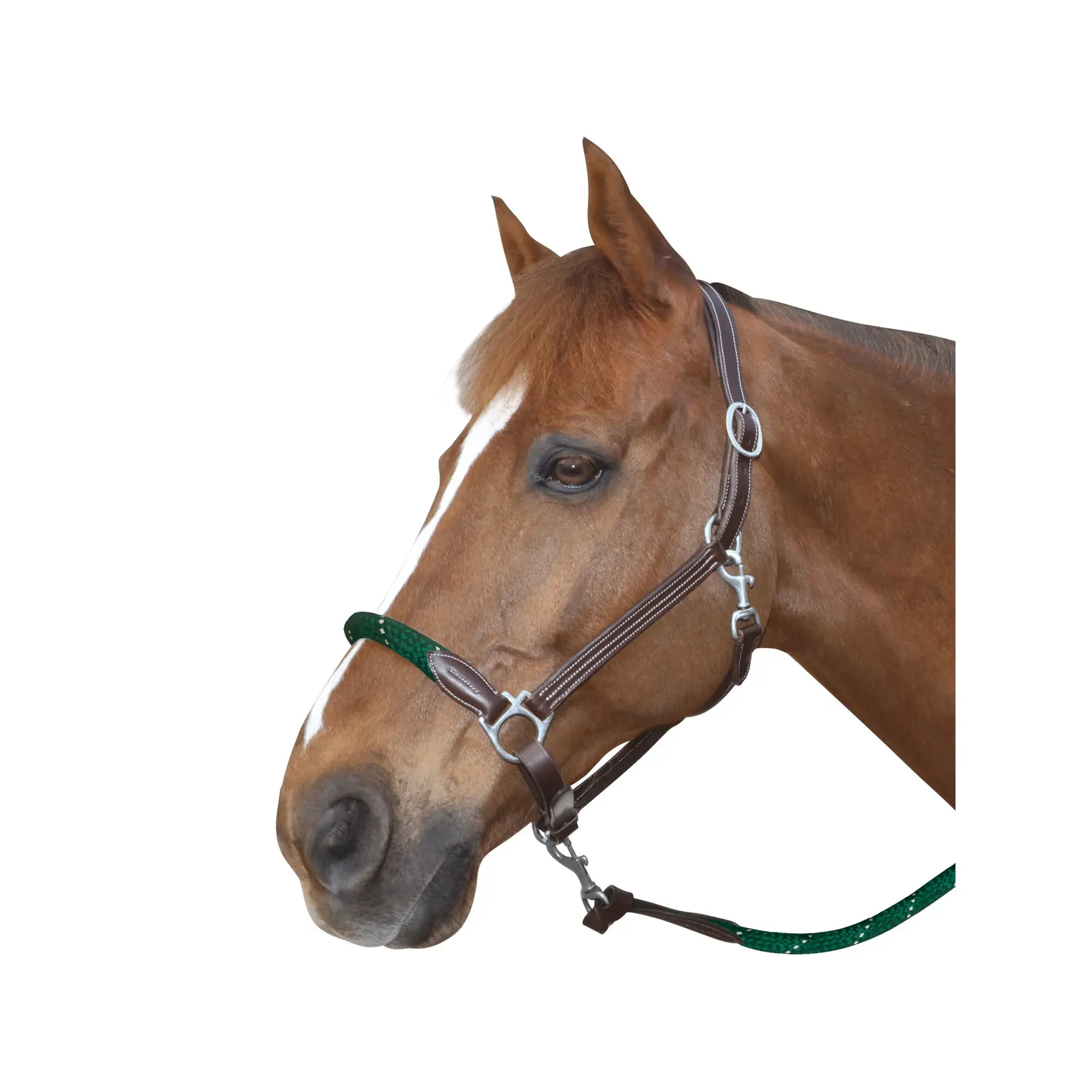 Halfter aus Leder Canter - Farbe: Grün
