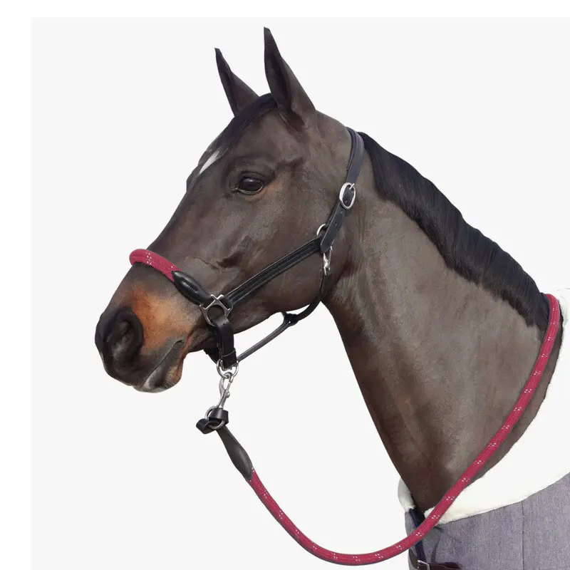 Rope halter with white buckles for horse Canter