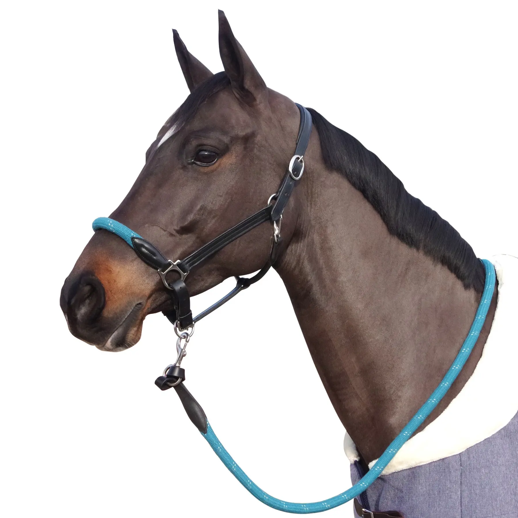 Cavezza in corda con fibbie bianche per cavalli Canter