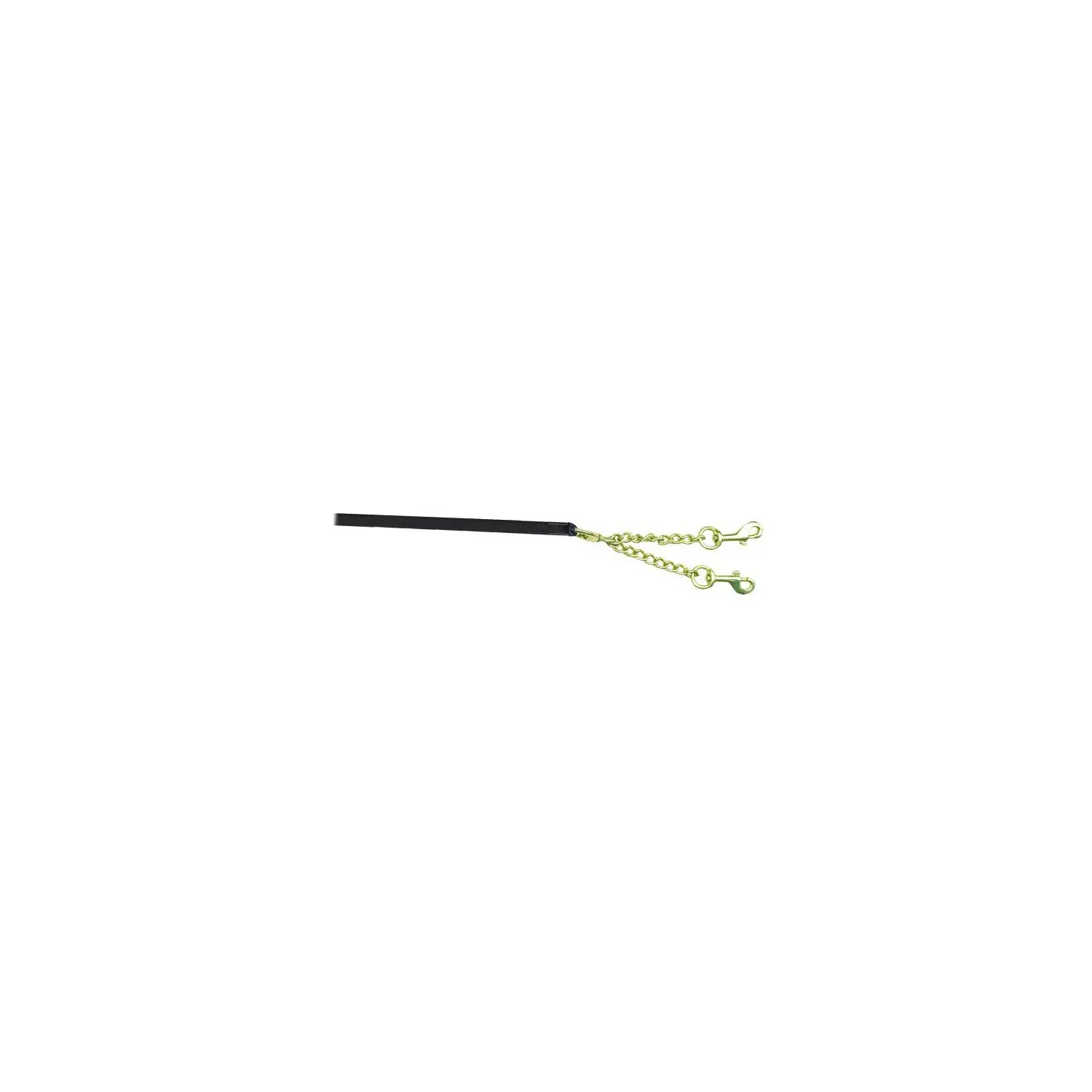 Double chain presentation lanyard Canter