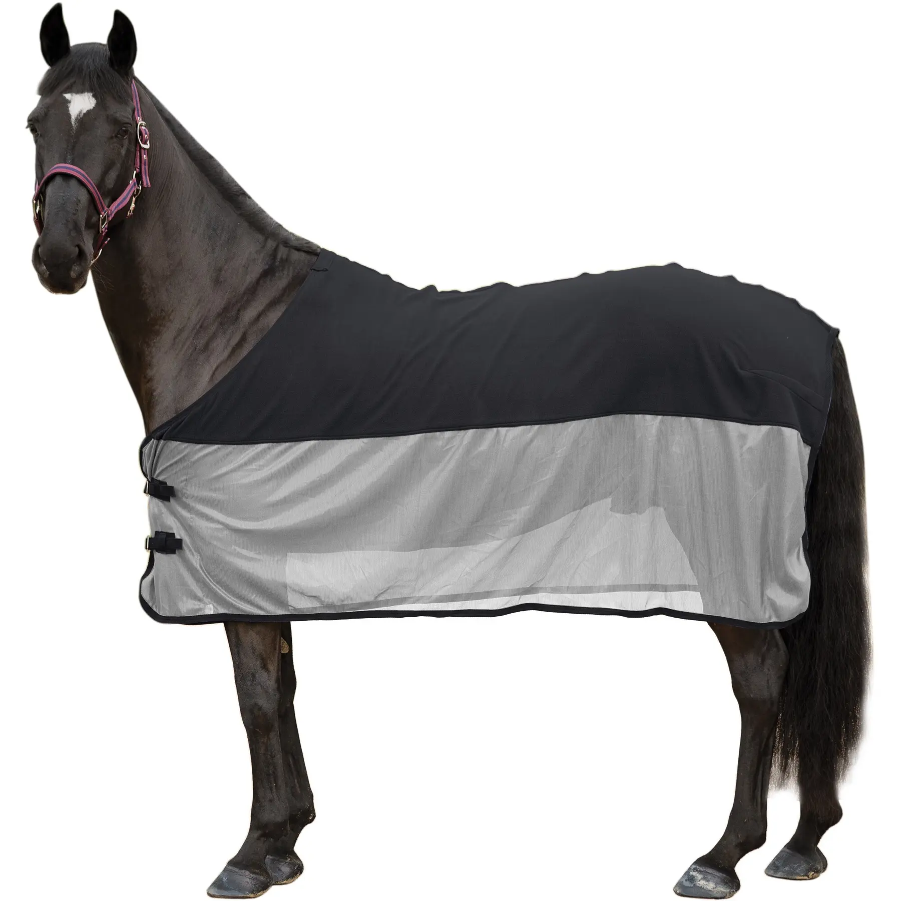 Drying Rug Canter