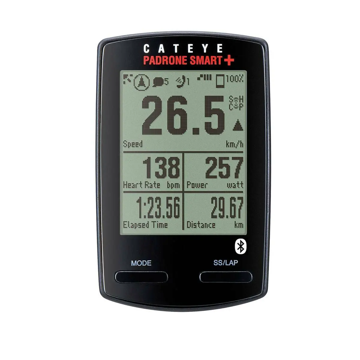 Tegen Cateye Padrone Smart +