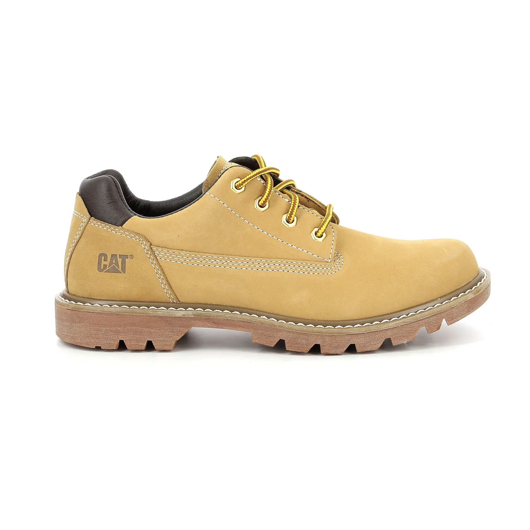 Derby Caterpillar Colorado Low 2