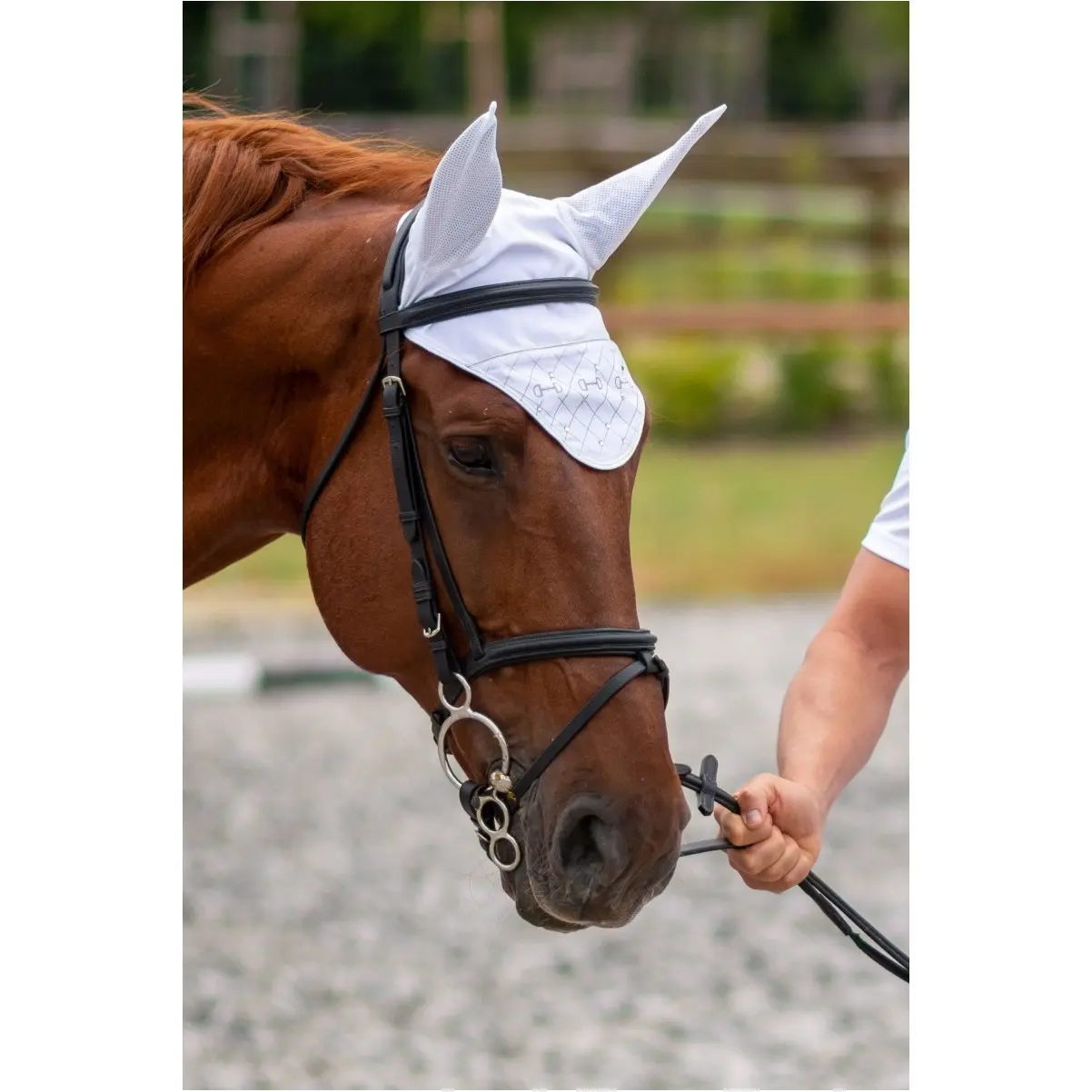Comparer les prix de Bonnet pour cheval version courte Cavalliera Crystal Bits