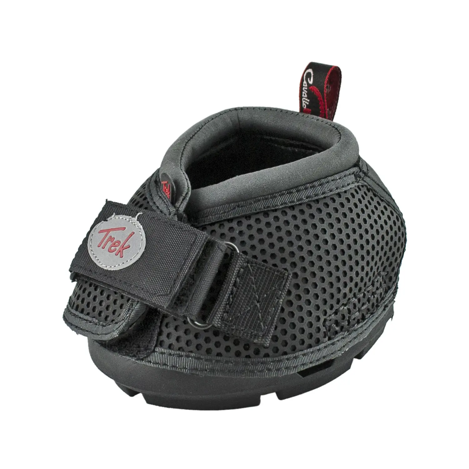 Regelmäßige Hufschutz für Pferde Cavallo Horse & Rider