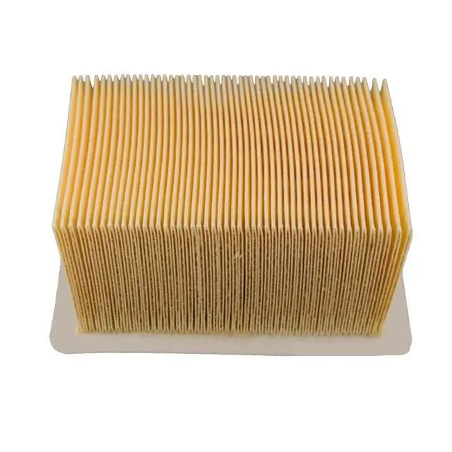Luftfilter Roller Champion HFA7911