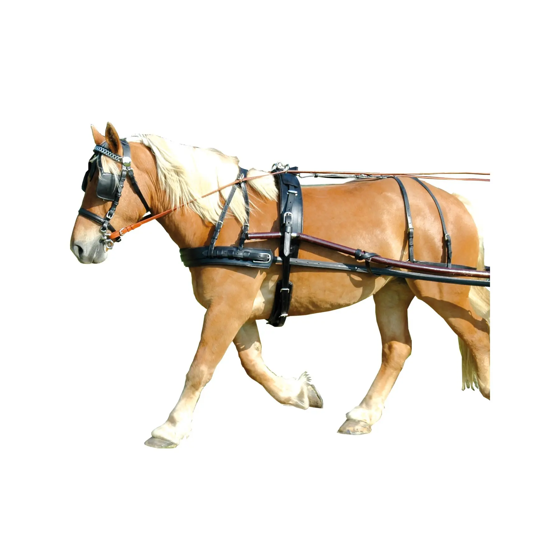 Synthetic harness Chetak Euro