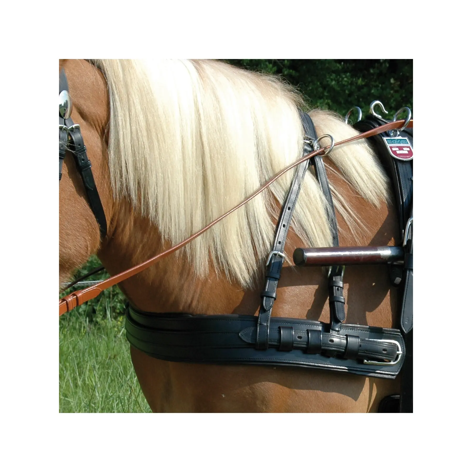 Harness with overcoat Chetak Euro