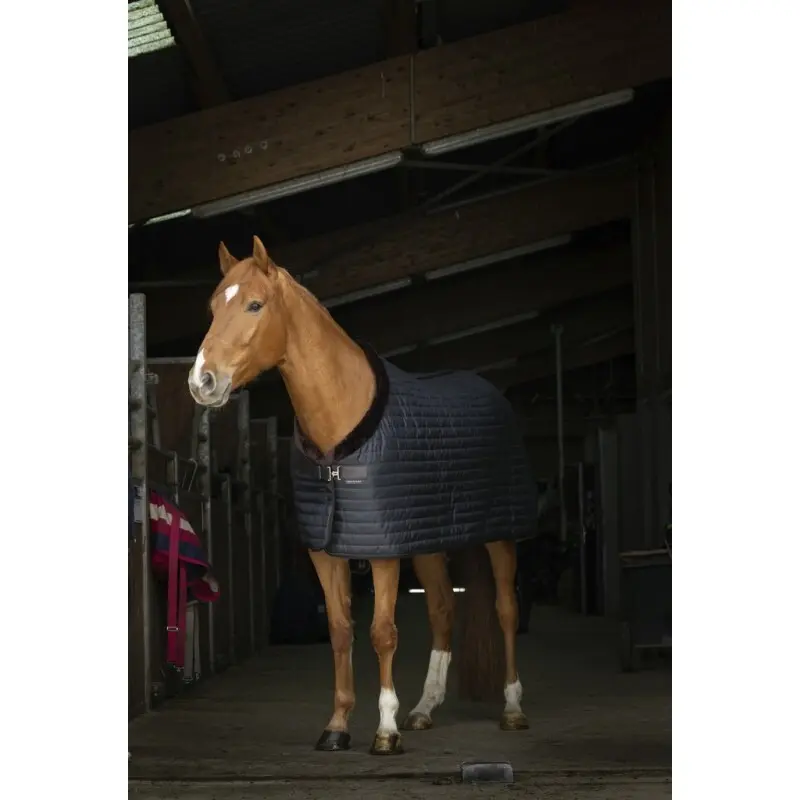 Coperta per cavalli Equithème Teddy 0g