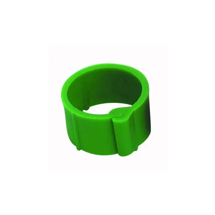 Clip ring Chick'A (x25)