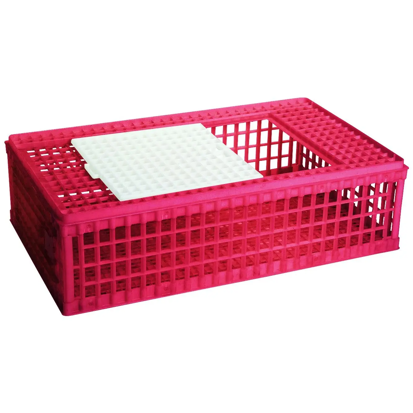 1-door plastic poultry tray Chick'A