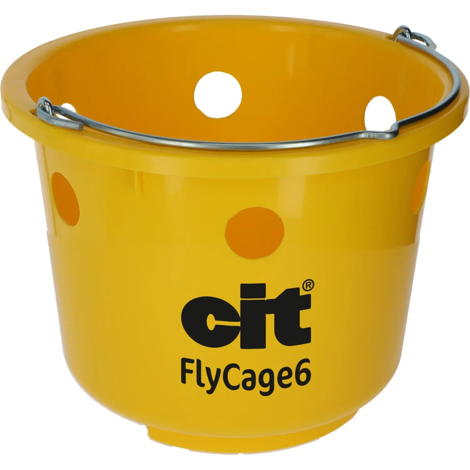 6-hole grid fly trap without inserts Cit