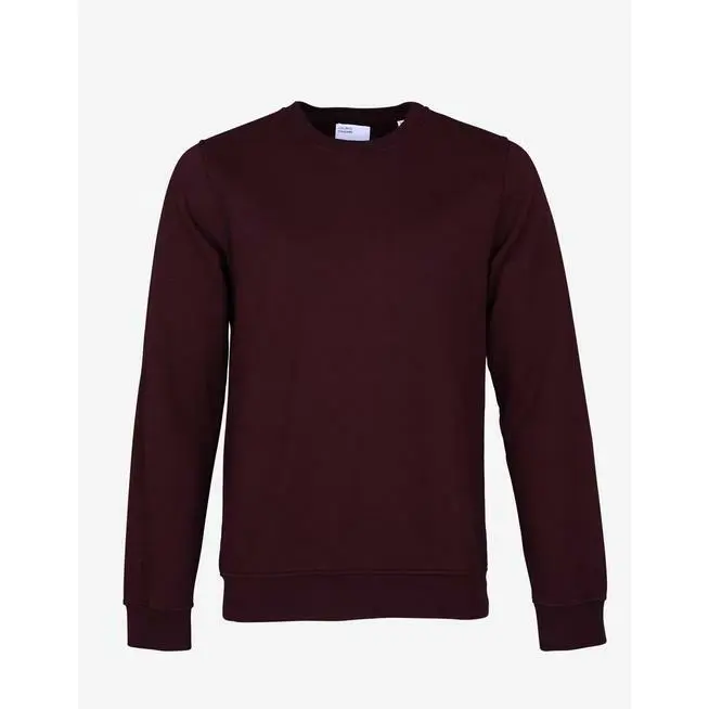 Sudadera Colorful Standard organic
