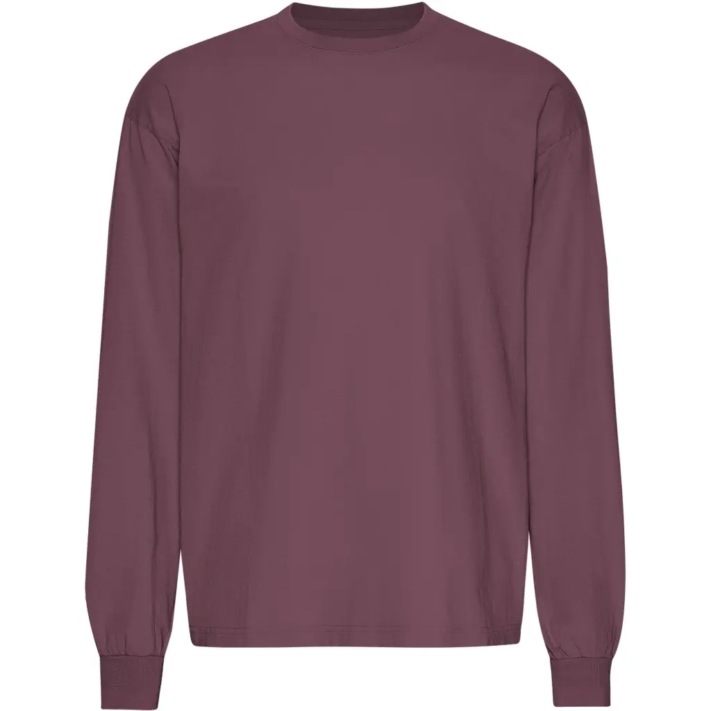 Colorful Standard Unisex Purple Oversized Long-Sleeve T-Shirt Organic Dusty Plum