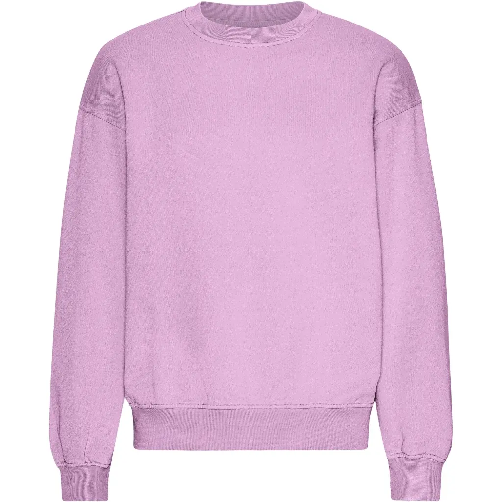 Felpa oversize con scollo rotondo Colorful Standard Organic Cherry Blossom